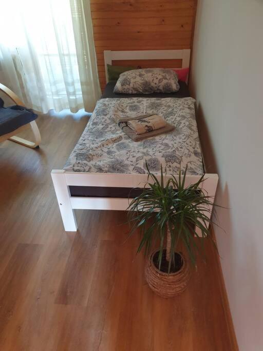 בוהין Room Sodja מראה חיצוני תמונה